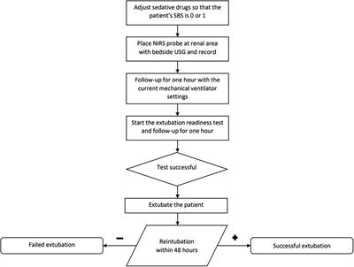 Evaluation of renal near-infrared spectroscopy for predicting extubation outcomes in the pediatric intensive care setting